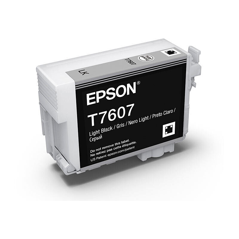 Genuine Epson 760 Light Black Ink Cartridge